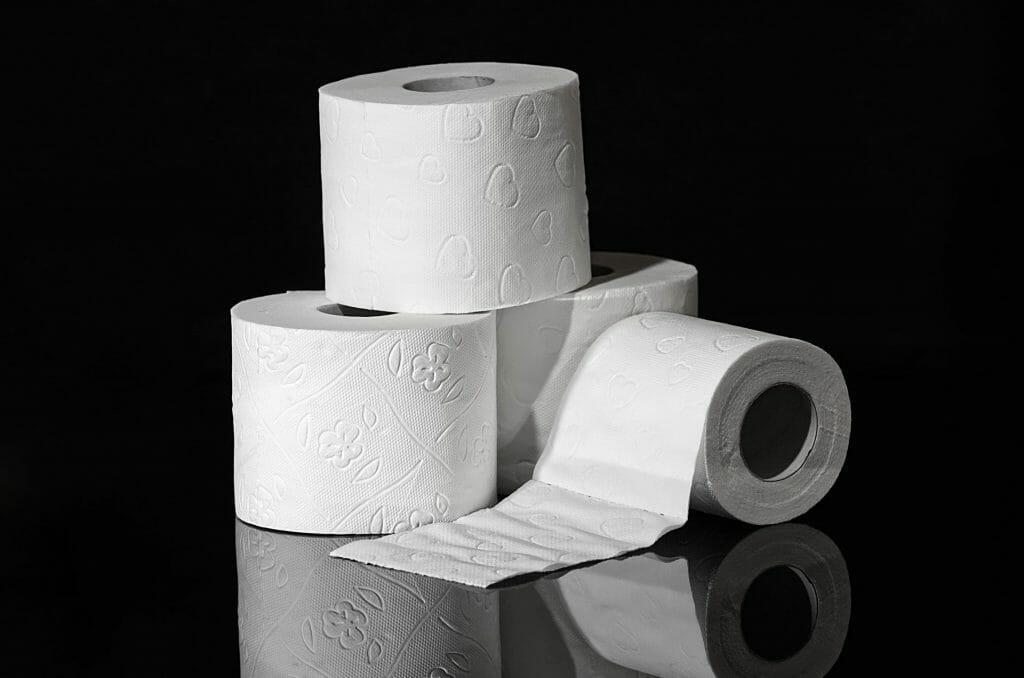 9 Best Toilet Papers Top Brands Reviewed & Rated (For 2022)