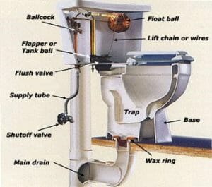 How Does A Toilet Work? (Detailed Overview & Guide)